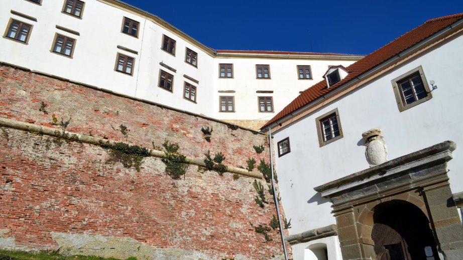 Ptuj Castle from below (2)