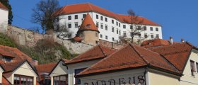 Ptuj castle from Presernova street