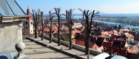 View from Ptuj Castle (6)