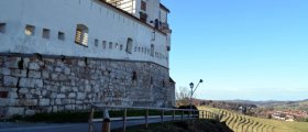 Ptuj Castle from behind