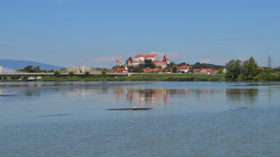 Ptuj across the lake