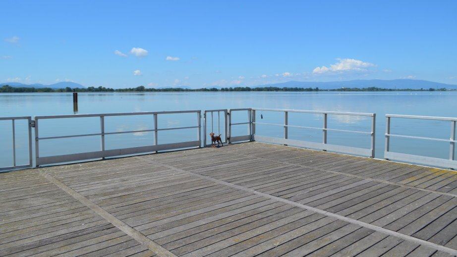 Pier in Ptuj Lake (3)