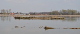 Small island in Lake Ptuj with birds on it