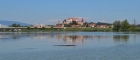 Ptuj across the lake