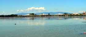 The Puch bridge