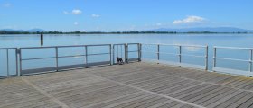 Pier in Ptuj Lake (3)
