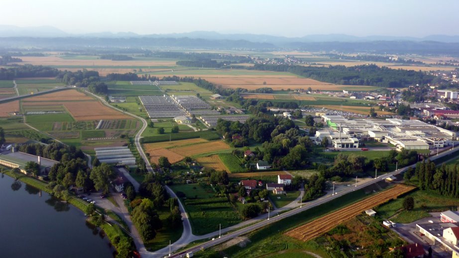 Ptuj surrounding from the air