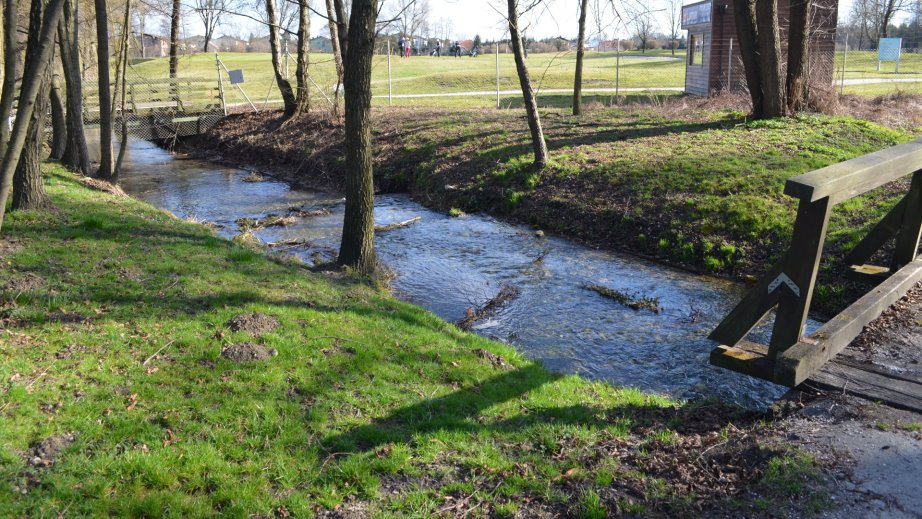 Stream at golf court at Ptuj