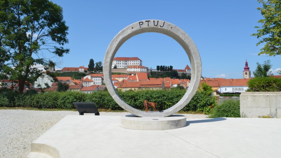 Ptuj veduta